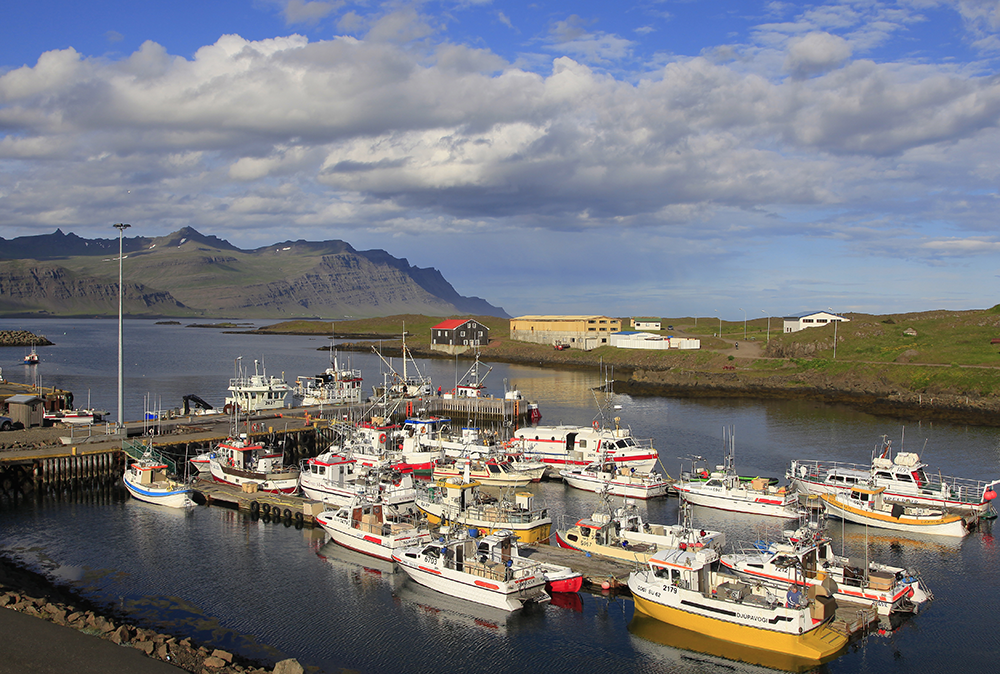 Djupivogur village on Iceland east coast