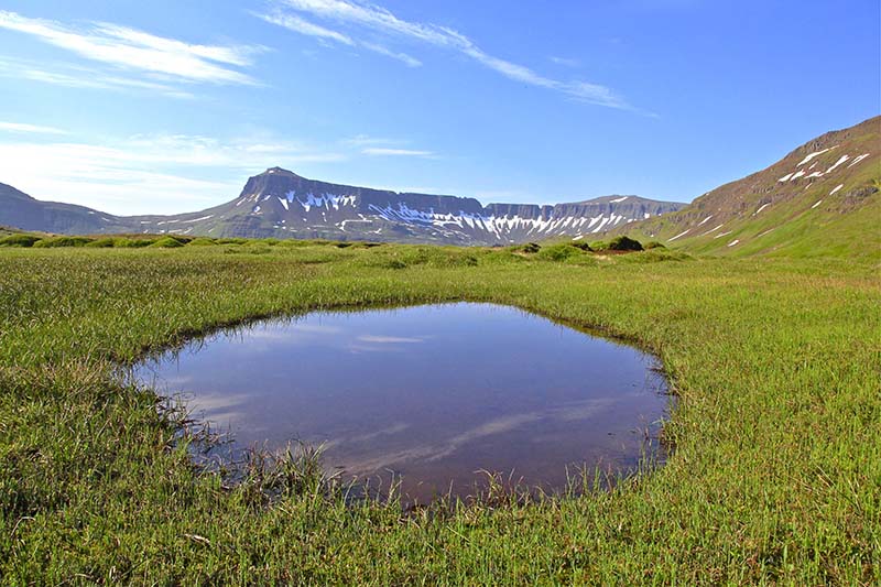 Borgarfjordur Eystri