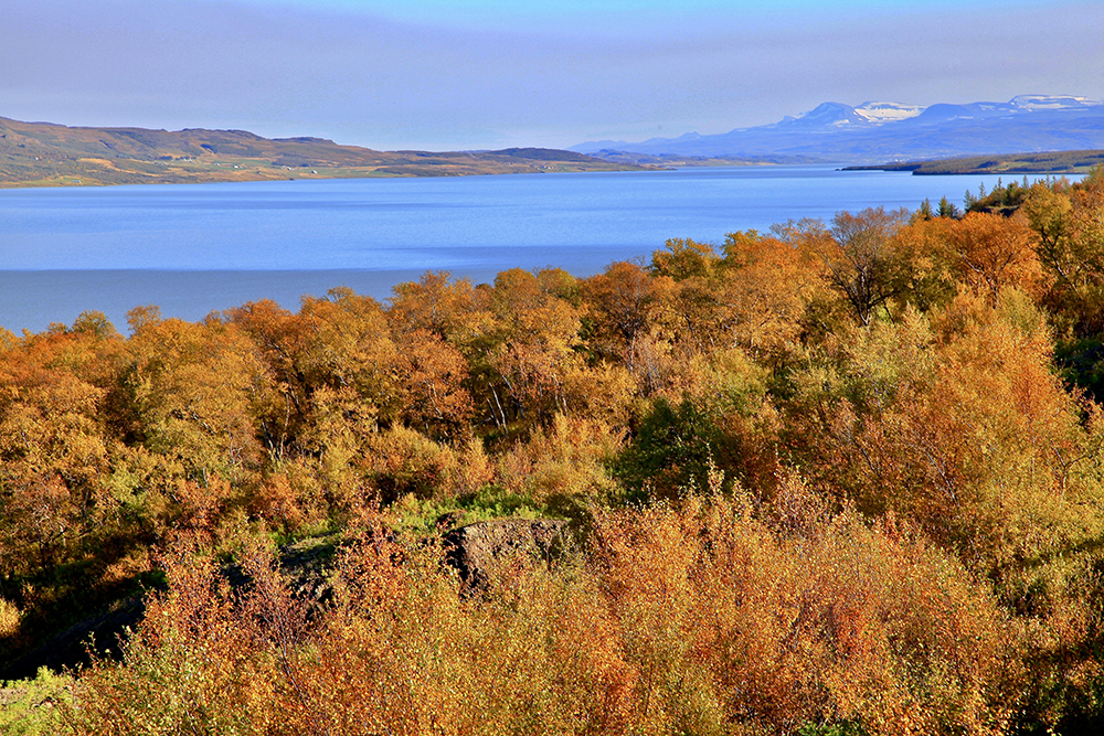 Lagarfljot near Egilsstadir in East Iceland